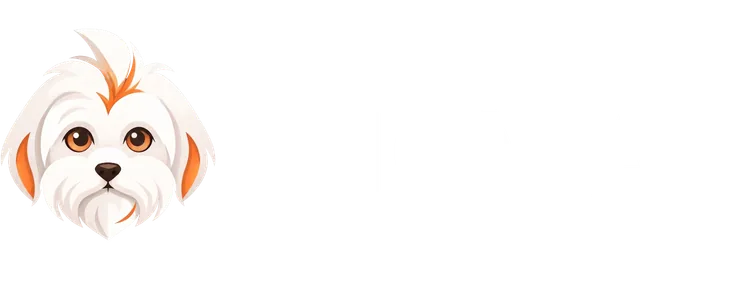 Tigy AI